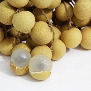 longan