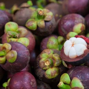 mangosteen