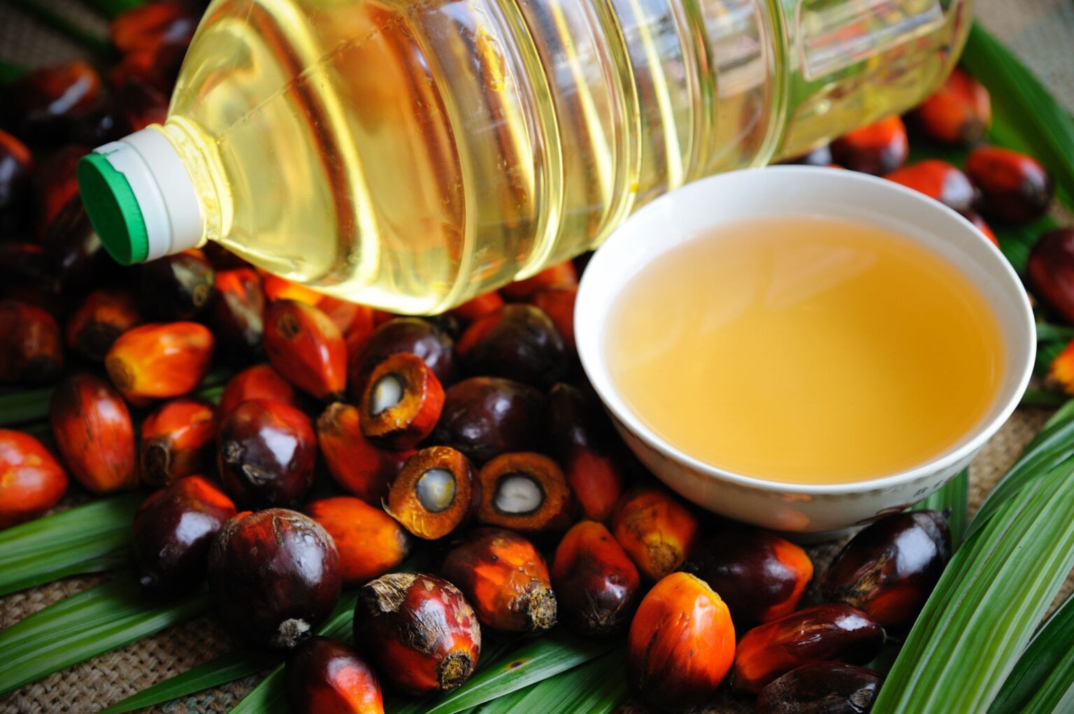 palm-oil-nif-internasional