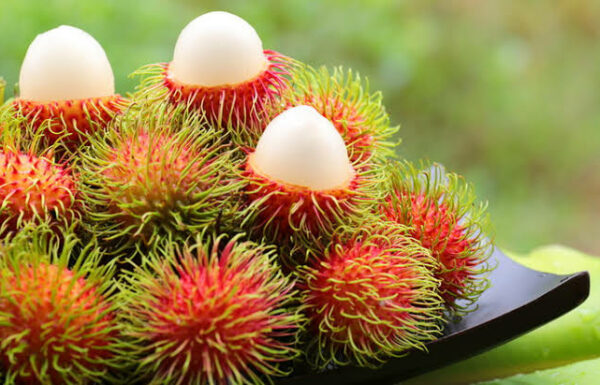 rambutan